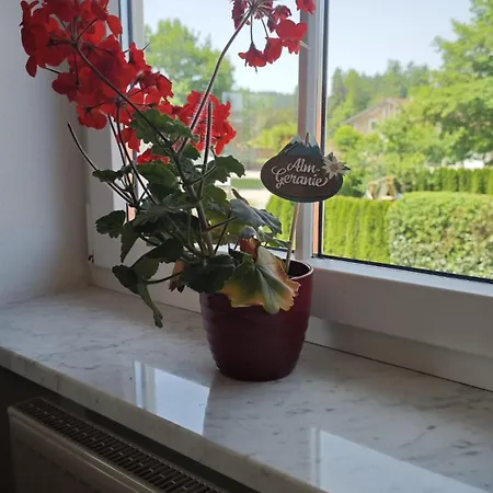 Mit Bergblick 公寓 瓦京阿西