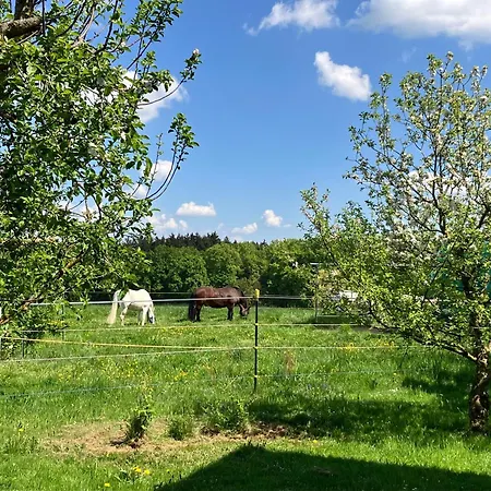 Mit Bergblick * Waging am See