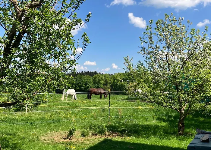 Mit Bergblick * Waging am See